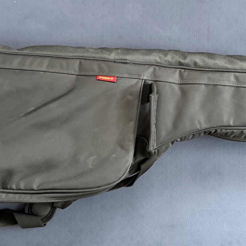 YAMAHA SLG100Nの画像